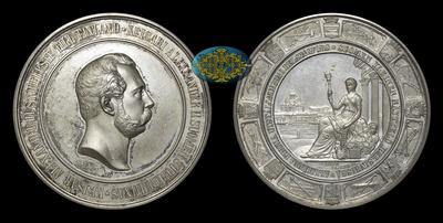 Медаль 1876 года 