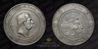 Медаль 1876 года 
