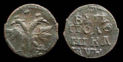 Полушка 1720 года, НД