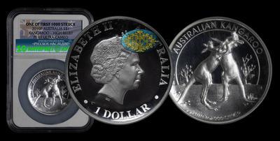 Доллар 2010 года, Р. 