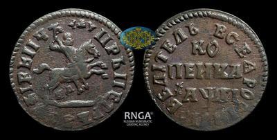 Копейка 1713 года, НД